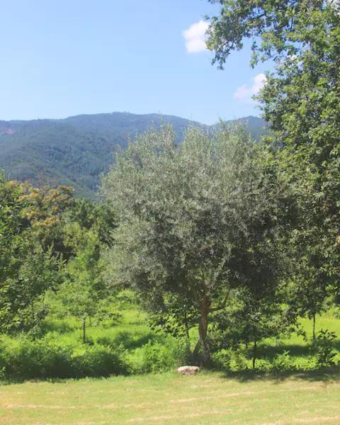 Geres - Casa Da