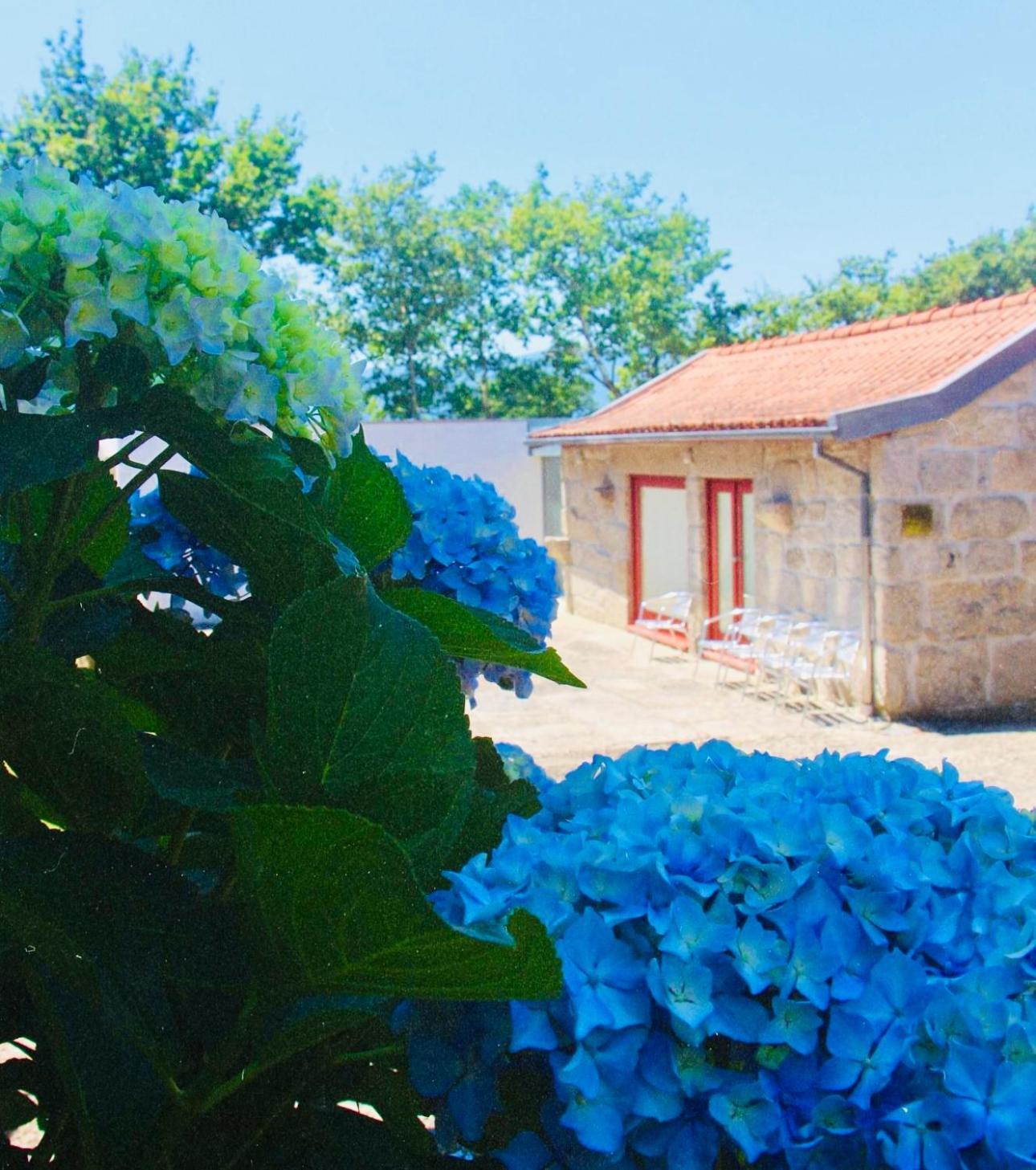 Holiday home Geres - Casa Da Vieira do Minho